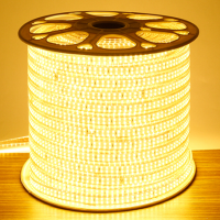 outdoor/indoor SMD 3014 10mm 240leds/m flexible led strip light wiht 110v/220v